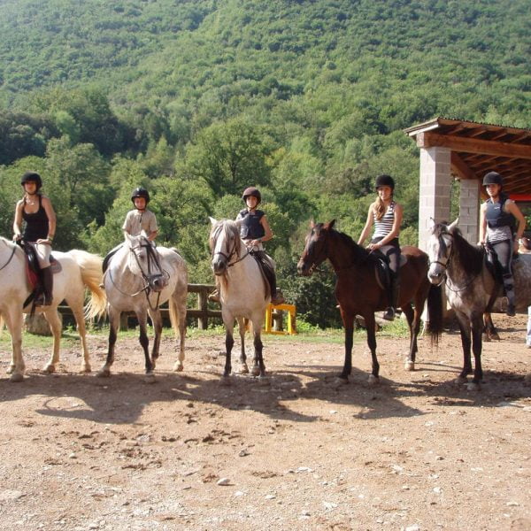 Unos jinetes cabalgan unos caballos hermosos, paisaje montañoso, rodeado de árboles y vegetación. La imagen transmite la sensación de libertad y conexión con la naturaleza que ofrece la equitación.